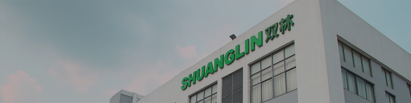 开云中国集团站群